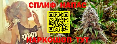 ешки Моздок