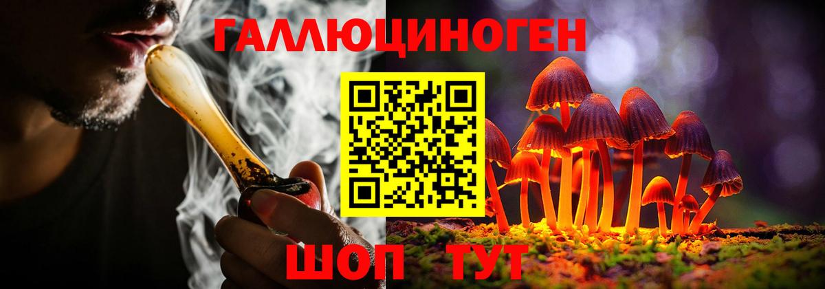Псилоцибиновые грибы Psilocybine cubensis  Вход с VPN  Татарск  Галлюциногенные грибы прущие грибы 